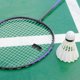 thumbnail image 4 of TEHAUX Protectores De Carga Para De Bádminton Color Negro Con Material ABS Resistente, 4 of 7