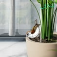 thumbnail image 4 of Clear Acrylic Planter for Succulents - Modern Desktop Decor with Durable, Eco-Friendly Design, 4 of 5