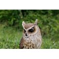 thumbnail image 3 of Hi-Line Gift Ltd Long Eared Owl on Stump Garden Statue, 3 of 5