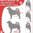 thumbnail image 4 of Dog Knee Brace for Joint Support, Reduce Inflammation, Black with Warmth, Comfort, 4 of 7