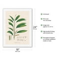 thumbnail image 2 of Palm Tree Leaf (Geonoma Pyenostachys) - Vintage Botanical Illustration by Carl Friedrich Philipp von Martius c.1820s - Japanese Unryu Rice Paper Art Print (Unframed) 18 x 24 in, 2 of 4