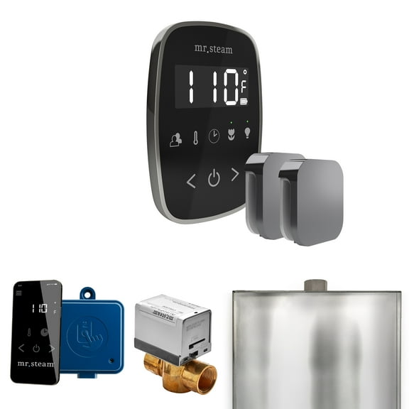 Mr Steam ButlerFlex Max Steam Shower Pkg w/TempoFlex Control and Steamhead in Black Brilliant Black