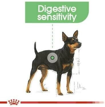Royal Canin Digestive Care Dog Wet Food Loaf 12x85g
