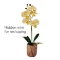 thumbnail image 3 of Home Accents 16-Inch Artificial Real Touch Phalaenopsis Orchid in Faux Wood Cement Pot, 3 of 6
