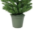 thumbnail image 4 of Northlight 4' Potted Norway Spruce Medium Artificial Christmas Tree - Unlit, 4 of 6