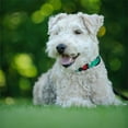 thumbnail image 4 of Gostoto Nylon Standard Dog Collar,Outdoor Night Reflective Collar For Small Medium Large Dogs, 4 of 6