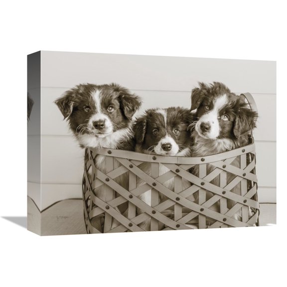 Global Gallery's 'What a Cute Bundle' By Jim Dratfield Stretched Canvas Wall Art