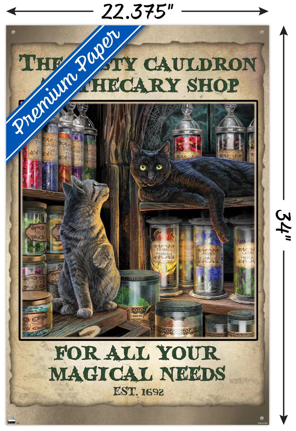 Lisa Parker - Apothecary Shop Wall Poster with Pushpins, 22.375" x 34"