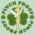 thumbnail image 2 of Girl's Peter Pan St. Patrick's Day Pinch Proof Tinkerbell Graphic Tee Mint X Small, 2 of 4