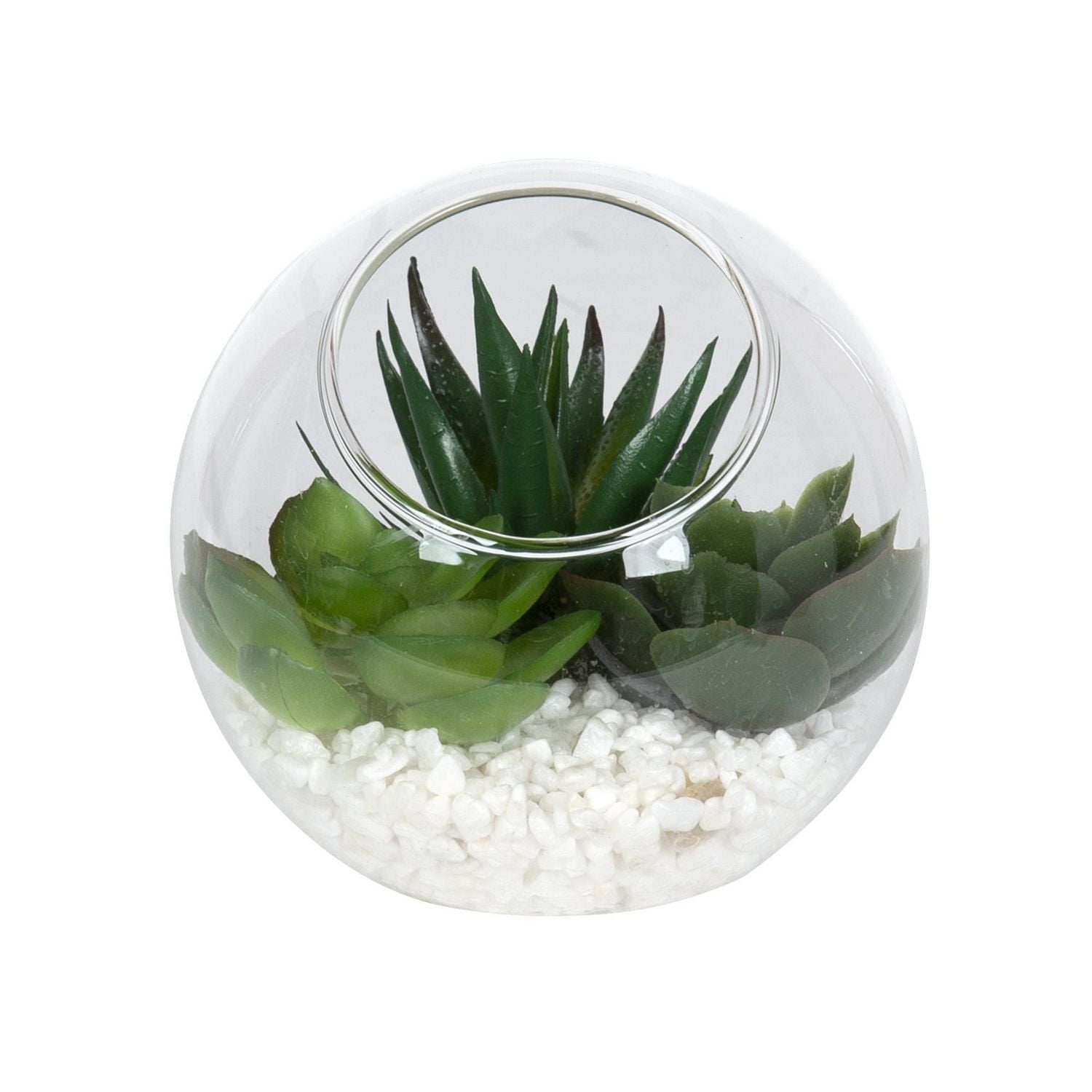 DesignOvation Terrarium angulaire en verre de 9,5 cm de haut pour succulentes 9,67cm Lx9,52cm Hx 9,67cm P