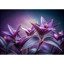 5 Cuttings Purple Hearts Wandering Jew - Tradescantia Pallida Purpurea Plant - Easy to Grow Indoor Outdoor Plant - Unrooted Cuttings