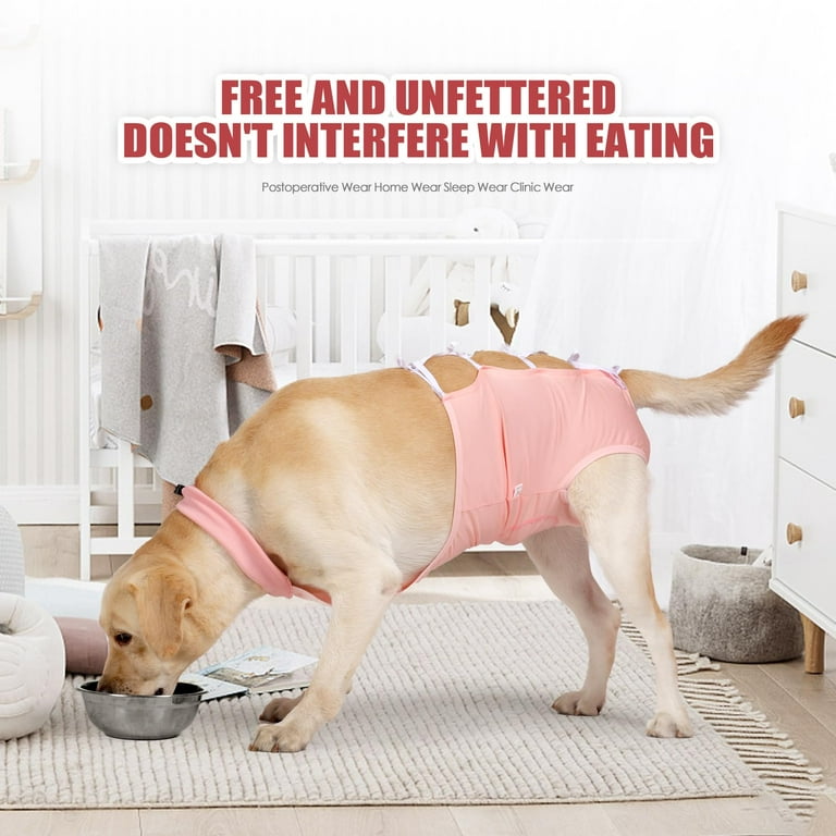 Animal Dog Eats Clothes Dog Shirt Pieces Dog Clothes For Small