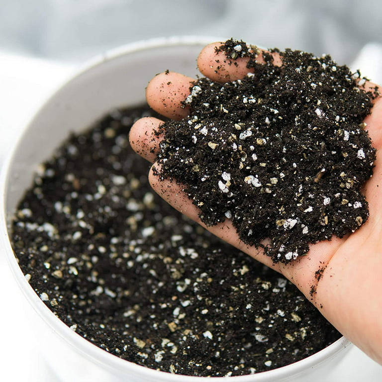 Sta-Green 8-Quart Organic Perlite Improves Soil Structure in the Soil  Amendments department at