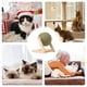 thumbnail image 4 of Catnip Juguetes para Gatos Multifuncional Interactivo Catnip Juguete Bola de Piso Juguete Versátil Catnip Piso Juguetes Agradable, 4 of 7