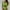 Green, variant on Cethrio Womens Bikini Swimsuits-Sexy Solid Backless Two Pieces Beachwear Set Swimwear Sky Blue