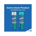 thumbnail image 2 of Clorox Disinfecting Spray Multi-Surface Cleaner, Kill Bacteria, Viruses and Mold, Eliminate Odors, 19 Oz - 12 Pack, 2 of 6