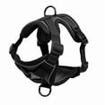 thumbnail image 7 of Exclusivo Mezcla Pet Harness and Leash Set, Adjustable Reflective Walking Dog Harness for Small Dogs, No Pull Soft Mesh Puppy Harness, Black, S, 7 of 7
