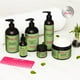 thumbnail image 4 of Mascarilla capilar Mielle Organics Rosemary Mint Strengthening 350 ml, 4 of 6