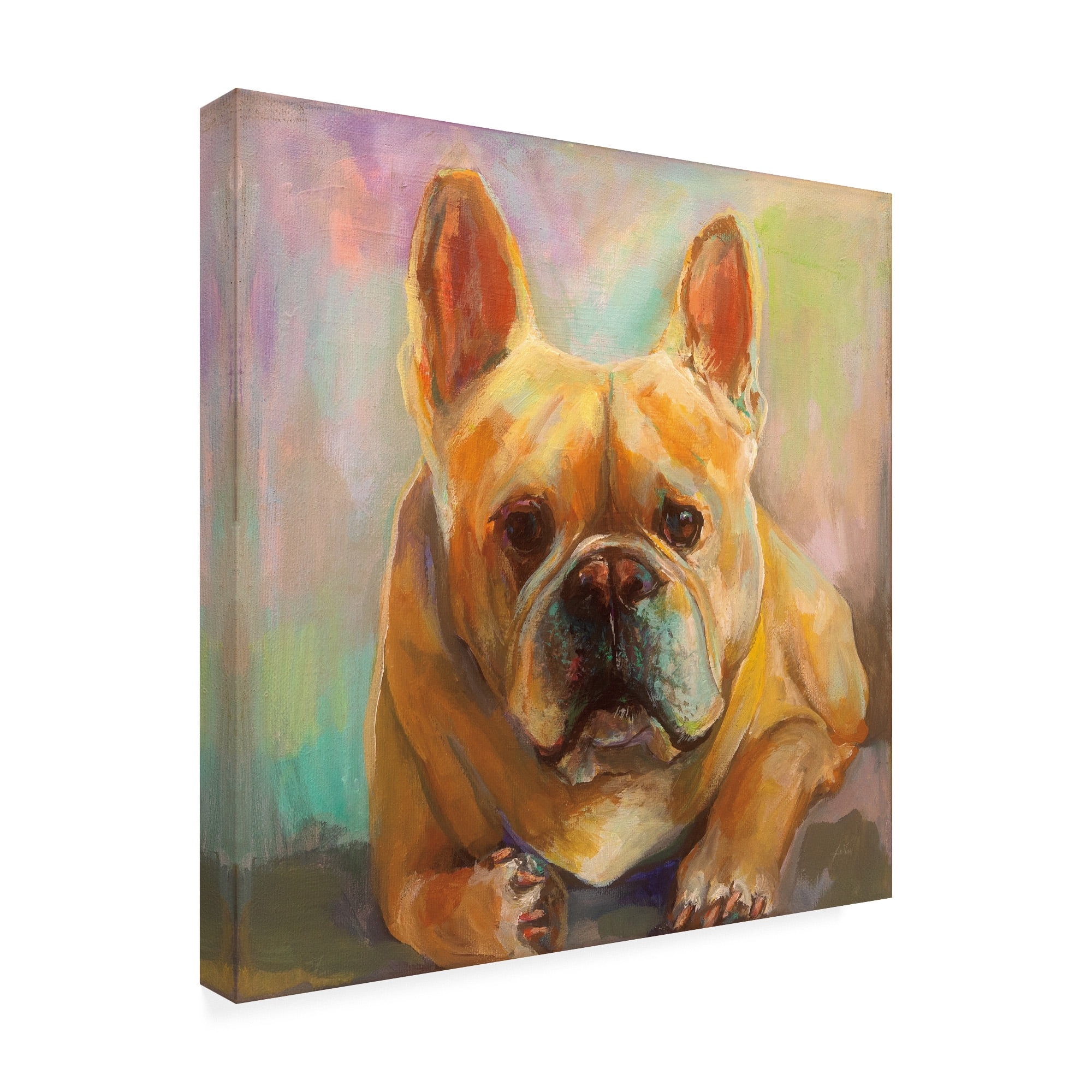 Trademark Fine Art 'Frenchie Painting' Canvas Art by Jeanette Vertentes