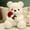 A, variant on KBKYBUYZ Plush Teddy Bear with Rose Stuffed Animals Toys Dolls Valentine's Day Gifts for Girls Girlfriend Lover 9 Inches
