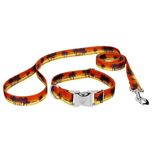 Country Brook Petz® Premium Caribbean Sunset Dog Collar and Leash, Medium