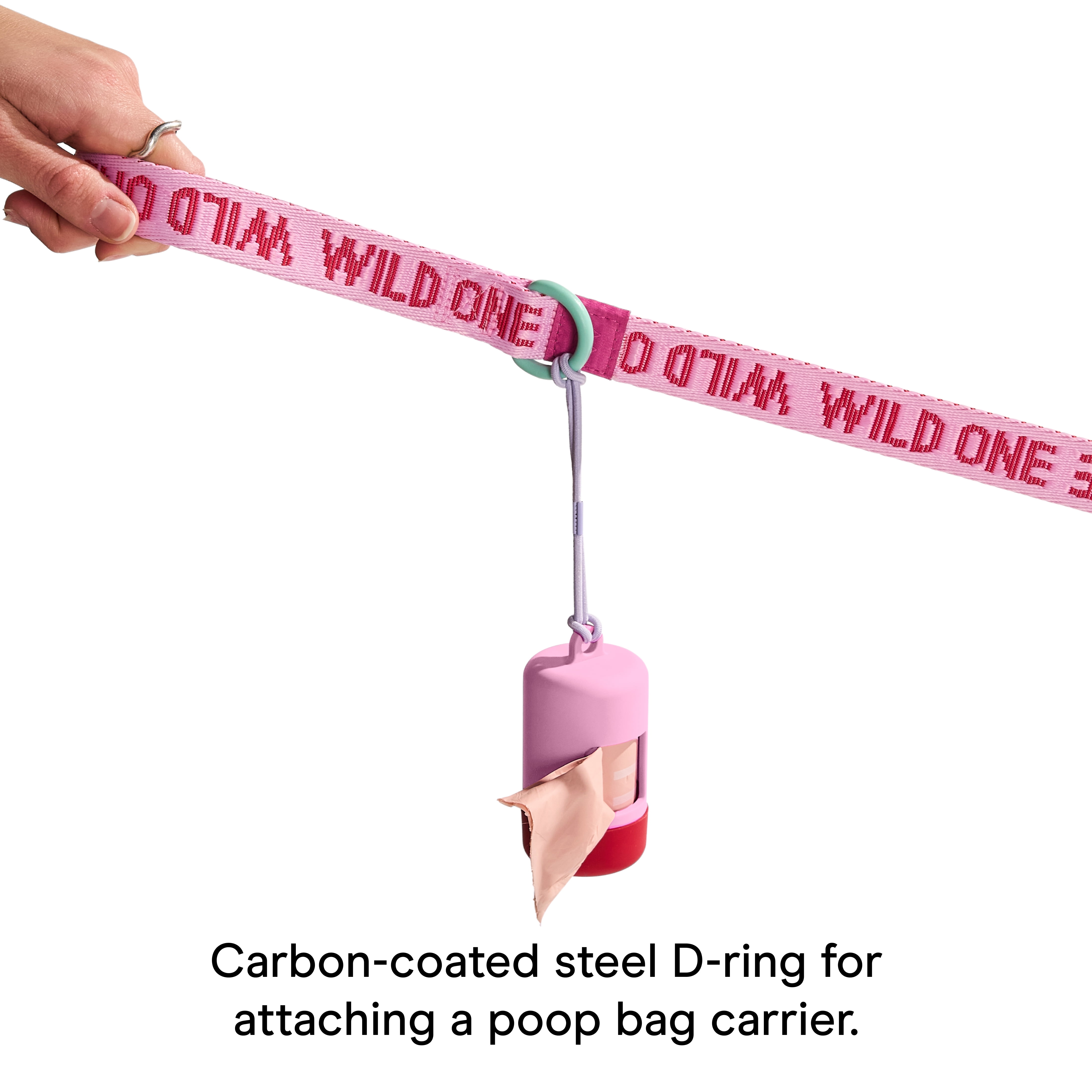 Wild One 6ft Heavy Duty Lightweight Nylon Dog Leash, Bubblegum Pink Colorblock