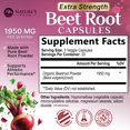 thumbnail image 5 of Beet Root Capsules 1950mg - Organic Beetroot Powder in Vegan Capsules - Premium Beet Root Powder Supplement Supports Nitric Oxide Production, Heart Health & Natural Energy - Bottled in USA, 60 Count, 5 of 5