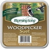 Morning Song 11462 9.5 oz Woodpecker Suet Wild Bird Food
