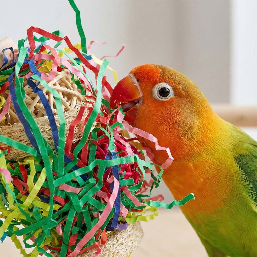6 PCS Bird Toys - Foraging, Shredding & Hanging Toys, Shredding Parakeet Toys with Rope Perch