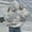 Grey, variant on WZXFASHION Women's Back Print Letter Print Jacket Long Sleeve Autumn Winter Hoodie Oversize Hoodie Clearance oversized pullover sweater