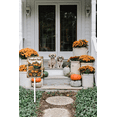 thumbnail image 3 of Eveokoki Vintage Pumpkin Patch Yard Sign 8x12inch Pumpkin Decor Fall Signs For Outdoor & Indoor Aluminum Lawn For Autumn Thanksgiving Ground Decorations, 3 of 4
