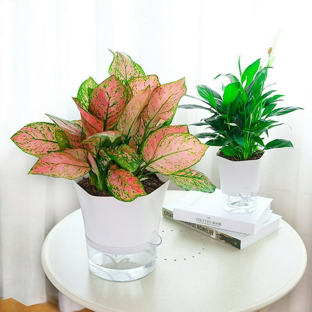 Transparent Plastic Self Watering Planter Automatic Water Absorption for Indoor & Outdoor Plants
