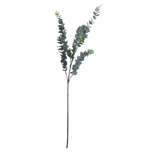 Hill Interiors Artificial Tall Single Stem Silver Dollar Eucalyptus
