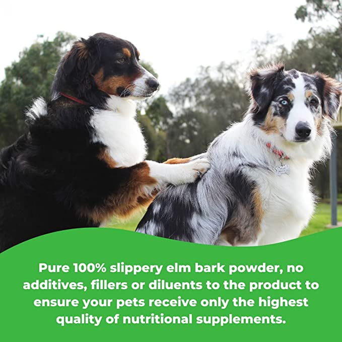 Petgold Ulmenrinde for Dogs 100g - Premium Slippery Elm Bark Powder  Ulmenoxide Dog : : Pet Supplies