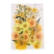 thumbnail image 2 of Flores Secas Prensadas Naturales perfecl 34-40pcs DIY, 2 of 7