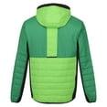 thumbnail image 2 of Regatta Mens Trutton II Baffled Padded Jacket, 2 of 7
