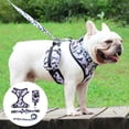 thumbnail image 1 of Conjunto de arnés para perros Bolsa de almacenamiento Arneses de camufje Chaleco para entrenamiento Caminar Viajes Mascota mediano SG Colco Chaleco de arneses, 1 of 7