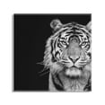 thumbnail image 2 of Kate and Laurel Tiger Minimalist Animal Portrait Black and White Floating Acrylic Art by The Creative Bunch Studio, 23x23, Decorative Animal Art for Wall, 2 of 9