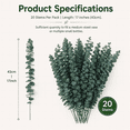 thumbnail image 3 of Artrylin 20Pcs Dried Eucalyptus for Shower,Dried Eucalyptus Bundle, Eucalyptus Stems,17 '' Preserved Eucalyptus Leaves & Aromatic for Shower,Home Wedding Decor，Green, 3 of 8