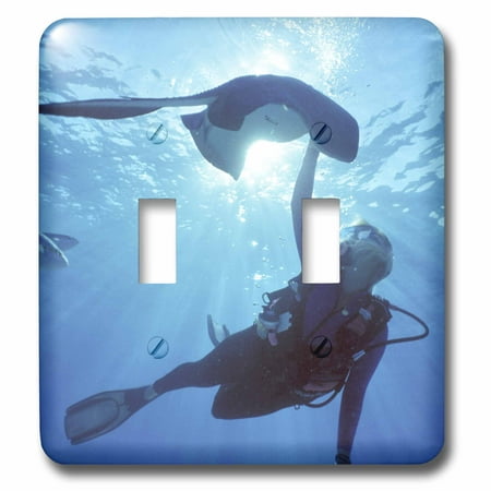 3dRose Snorkeling, Stingray City, Grand Cayman, Caribbean -CA42 GJO0107 - Greg Johnston - Double Toggle Switch (Best Snorkeling Spots In Grand Cayman)