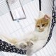 thumbnail image 4 of Arena para gatos domésticos Xemadio 220262-3, 4 of 7
