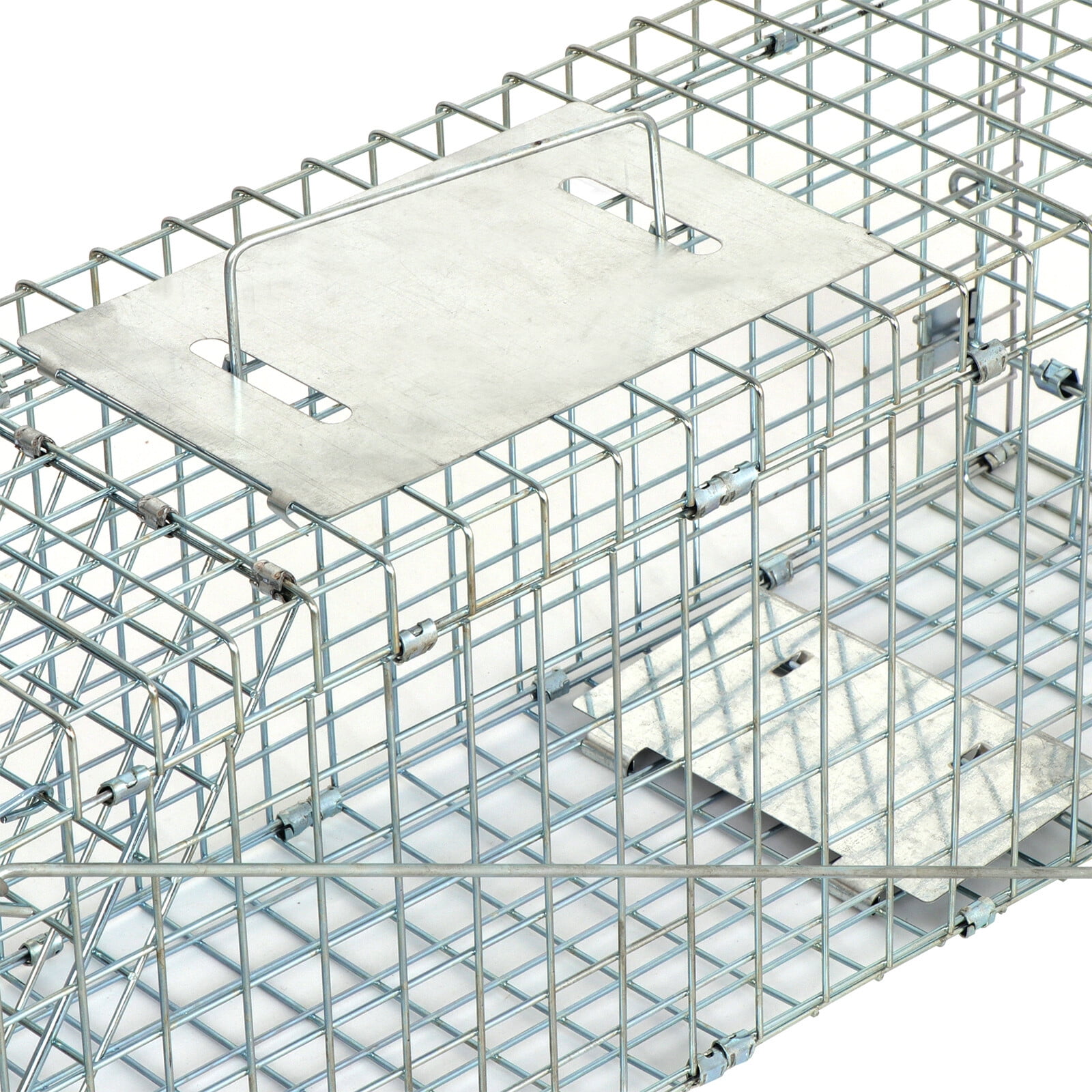 HomGarden 24inch Foldable Humane Live Animal Trap Cage for Squirrel, Rat, Bunny, Mink, No-Kill Bait Trapping Kit, Catch & Release, Silver