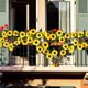 thumbnail image 4 of Spring And Summer Sunflower Wreath Artificial Flower Wildflower Wreath For Indoor Outdoor Wedding Arches Porches Staircase Decorations Year Round Home Decorati, 4 of 6