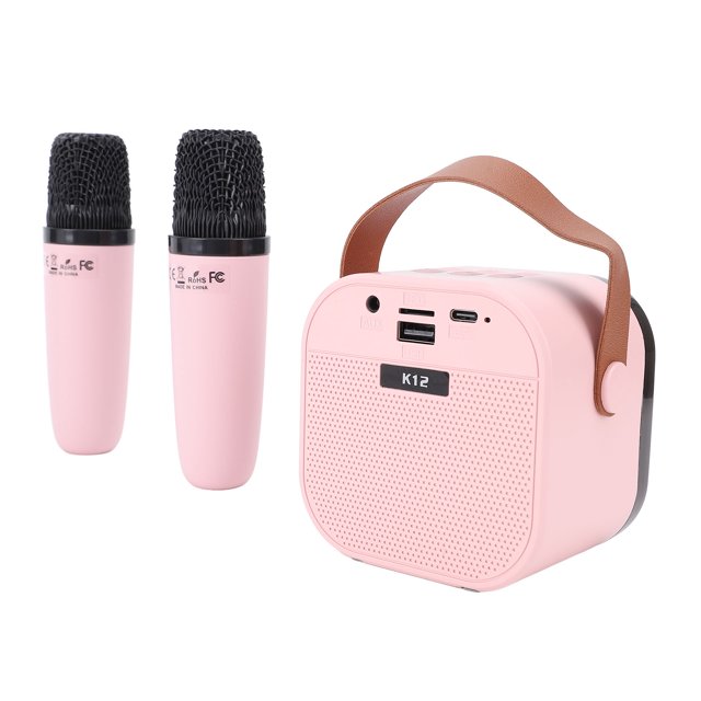 Wireless Karaoke Machine Portable Versatile Built in Light Dual Microphone Speaker for Party Birthday Outdoor