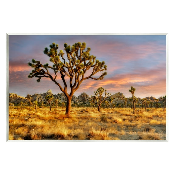 Stupell Industries Savanna Trees Photography Nature Photography Unframed Art Print Wall Art, 15 x 10