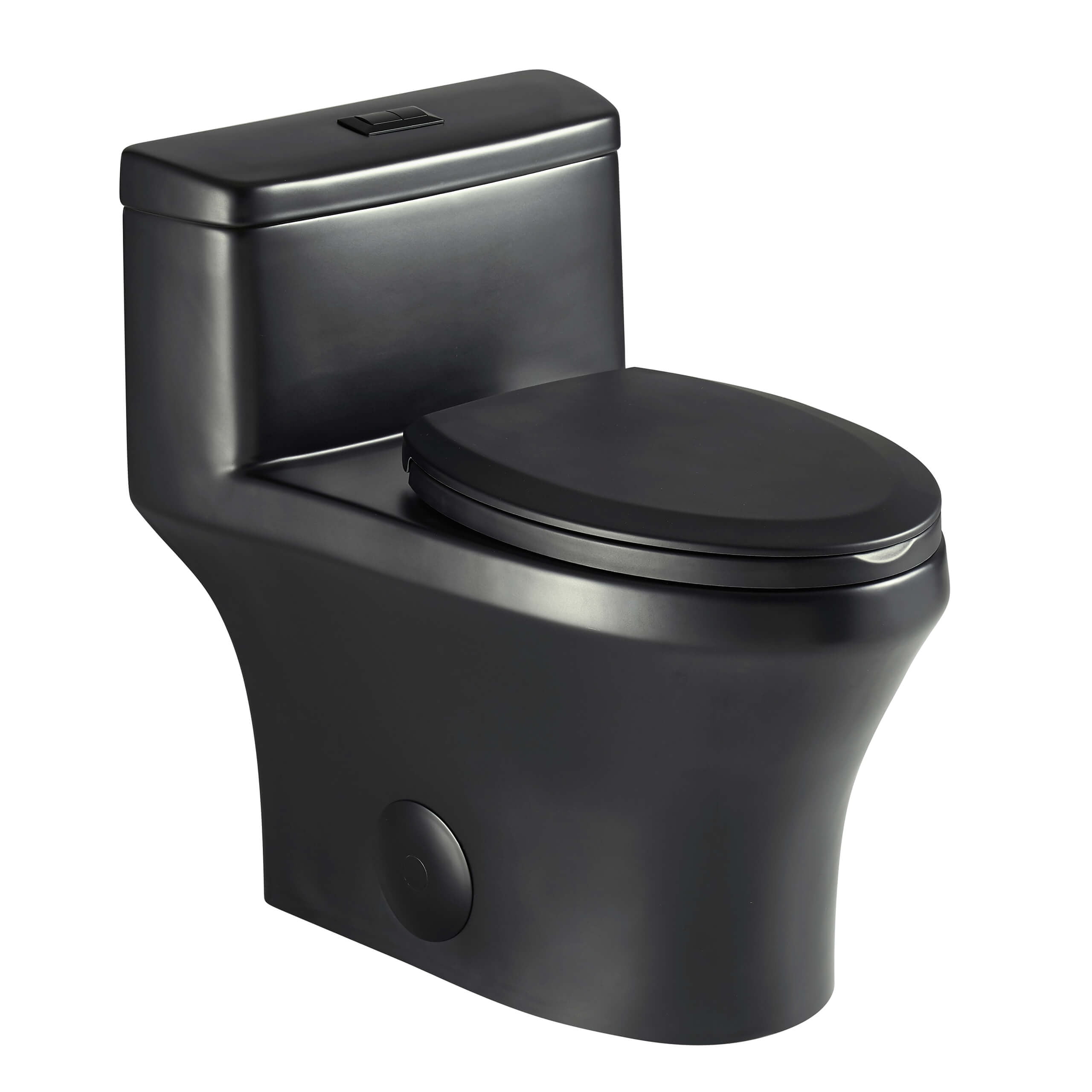 Fine Fixtures DualFlush OnePiece Toilet With HighEfficiency Flush