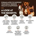 thumbnail image 5 of NaturVet Breed Specific "Bully Dog" Soft Chew Supplements, 5 of 12