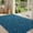 Blue, variant on SIXHOME Door Mats for Inside 24"x35" Non Slip Rubber Welcome Mat for Inside Low-Profile Dirt Trapper Indoor Door Mats for Entryway Soft Absorbent Washable Entry Rug Floor Mats Modern Doormat Gray