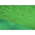 thumbnail image 1 of Ahgly Company Machine Washable Indoor Rectangle Transitional Neon Green Area Rugs, 5' x 8', 1 of 7
