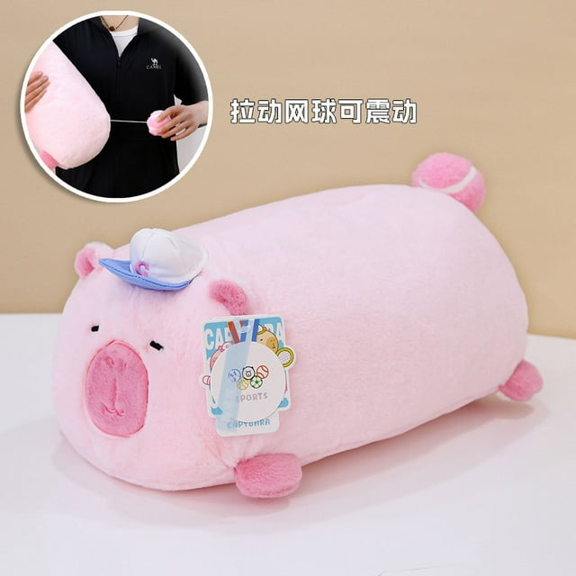 Poupée Capybara Véritable Poupée Jouet en Peluche Oreiller Cadeau d'Anniversaire Célébrité Internet Ragdoll DMH